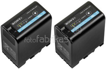 Sony BP-U60 U60 Battery Pack (2 pcs)