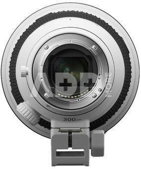 Sony FE 300mm f/2.8 GM OSS