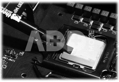 Thermal Grizzly Thermal grease "Conductonaut" 1g