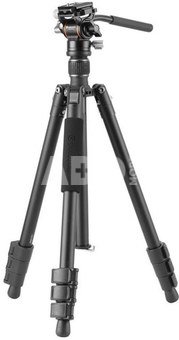 Vanguard Vesta GO 234 AV10