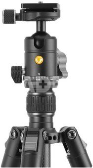 Vanguard Vesta GO 234CB