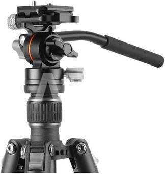 Vanguard Vesta GO 264 AV12