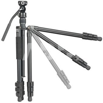 Vanguard Vesta GO 264 AV12