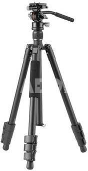 Vanguard Vesta GO 264 AV12