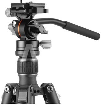 Vanguard Vesta GO 264 CV12
