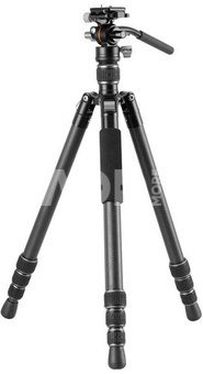 Vanguard Vesta GO 264 CV12