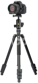 Vanguard Vesta GO 264AB