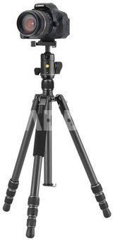 Vanguard Vesta GO 264CB
