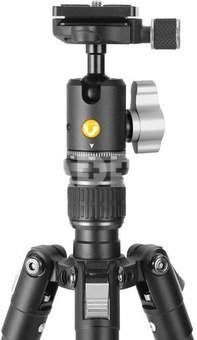 Vanguard Vesta GO 204CB
