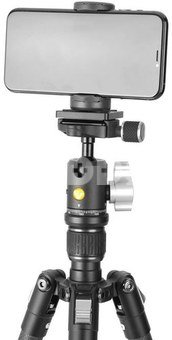 Vanguard Vesta GO 204CB