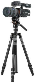 Vanguard Vesta GO 234 CV10