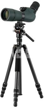 Vanguard Vesta GO 234 CV10