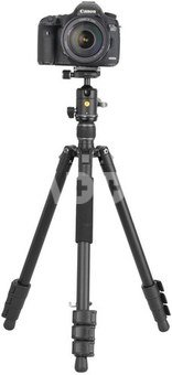 Vanguard Vesta GO 234AB