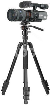 Vanguard Vesta GO 264 AV12