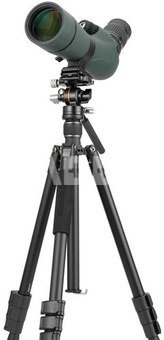 Vanguard Vesta GO 264 AV12