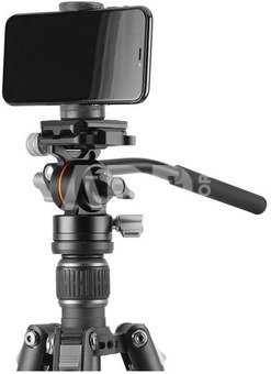 Vanguard Vesta GO 264 AV12