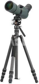 Vanguard Vesta GO 264 CV12