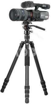 Vanguard Vesta GO 264 CV12