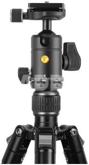 Vanguard Vesta GO 264AB