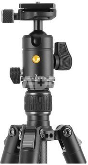 Vanguard Vesta GO 264CB