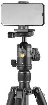 Vanguard Vesta GO 264CB