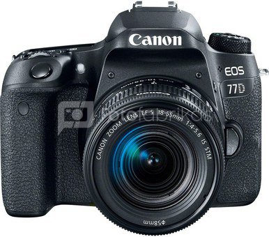 Veidrodinis fotoaparatas Canon EOS 77D + 18-55mm STM