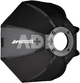 Westcott U60 B Bi Color LED 2 Light Softbox Kit