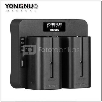 Yongnuo YN750C Fast Battery Charger