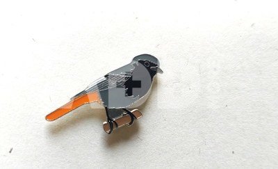 Ženkliukas BLACK REDSTART / Dūminė raudonuodegė
