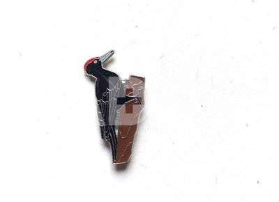 Ženkliukas BLACK WOODPECKER/ Juodoji meleta
