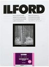 1x 25 Ilford MG RC DL 1M 13x18