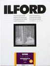 1x 50 Ilford MG RC DL 25M 24x30