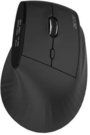 Acer Smart Fit Maus