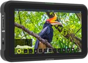 Atomos Shinobi video monitorius