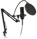 BLOW Microphone Recording with handle