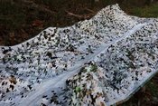 Camo maskuojantis tinklas snow 3x6 m