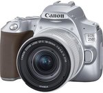 Canon EOS 250D 18-55mm IS STM Silver