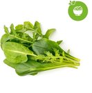 Click & Grow Plant Pod Salad Mix 9pcs