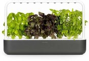 Click & Grow Smart Garden 9, grey