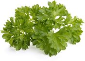 Click & Grow Smart Garden refill Parsley 3pcs