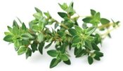 Click & Grow Smart Garden refill Thyme 3pcs