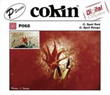 Cokin Filter P068 Spot red