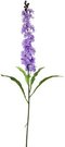 Dekoratyvinė gėlė Leukonija violetinė (24) h 78 cm SAVEX