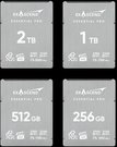 Exascend CFexpress 4.0 Type B Element Pro Series 256GB