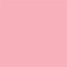 Falcon Eyes Background Paper 03 Carnation 2.75 x 11 m