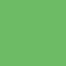 Falcon Eyes Background Paper 73 Summer Green 1.35x11 m