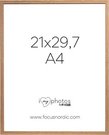 Focus Rock Oak veneer 21X29,7 (A4)