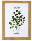 Frame GED 21x30 wooden D521 light brown |15x9mm