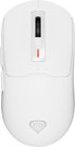 Genesis Zircon 660 PRO | Wireless/Wired | Gaming Mouse | 2.4 GHz, Bluetooth, USB | White