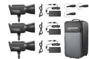 Godox Litemons LA300Bi Bi color LED Video Light 3 light kit (Black)